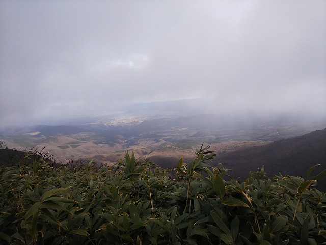 箕輪から本山往復202011DSC_0046