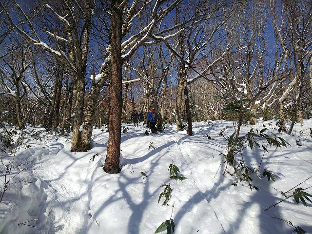 登山道をショートカット中