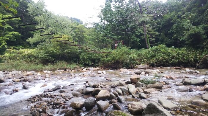 野川の吊り橋