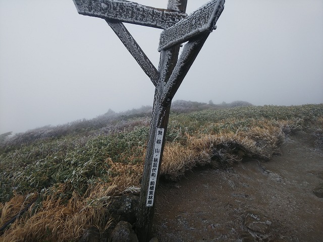 箕輪から本山往復202011DSC_0043